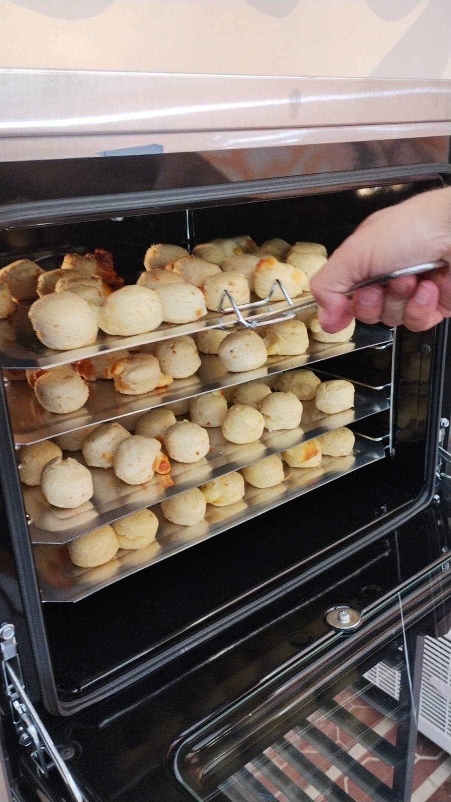 CHIPA SALVAJE