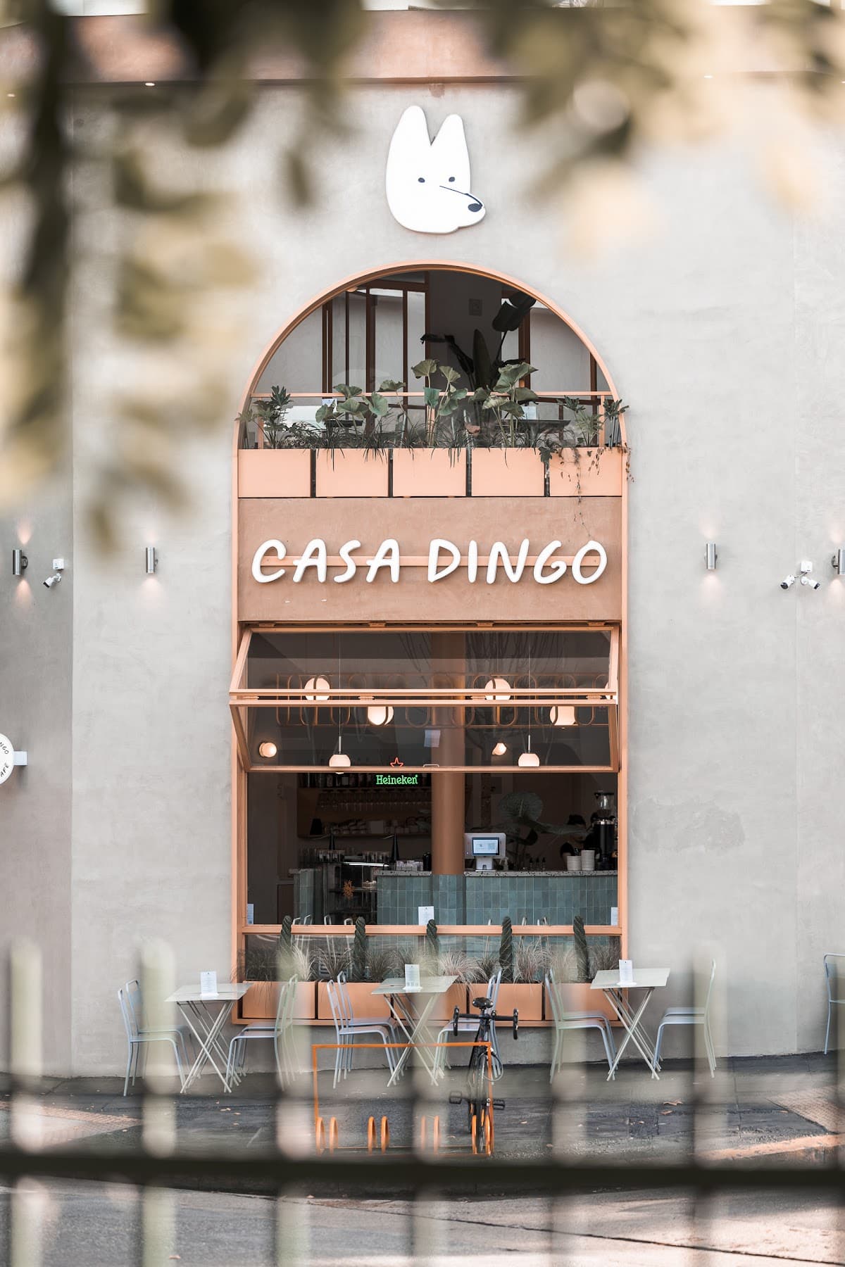 Casa Dingo