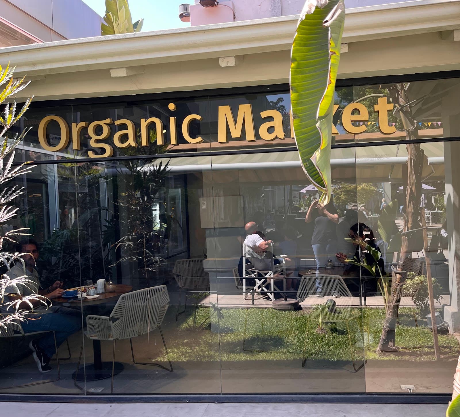 Organic Market