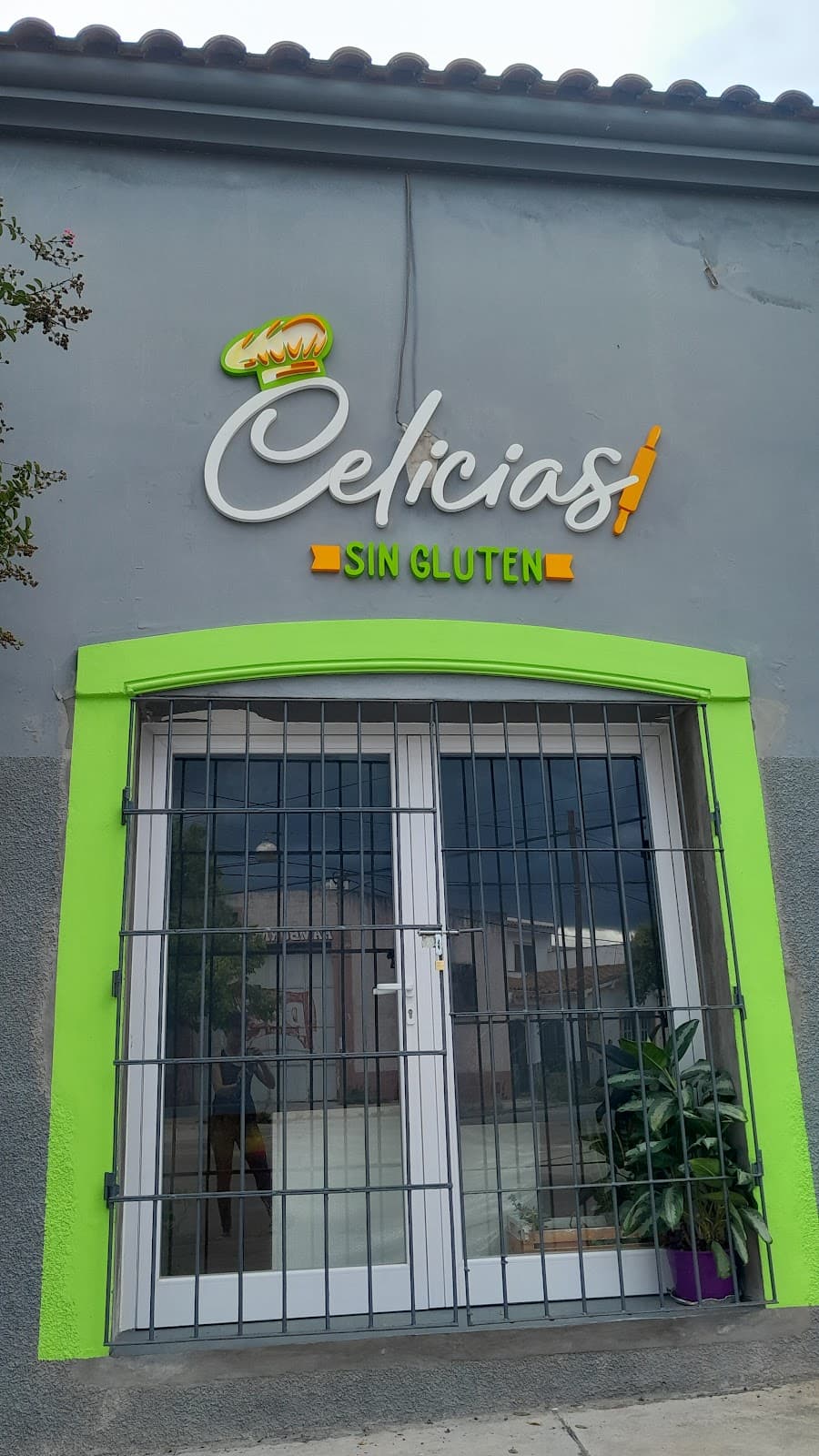 Celicias