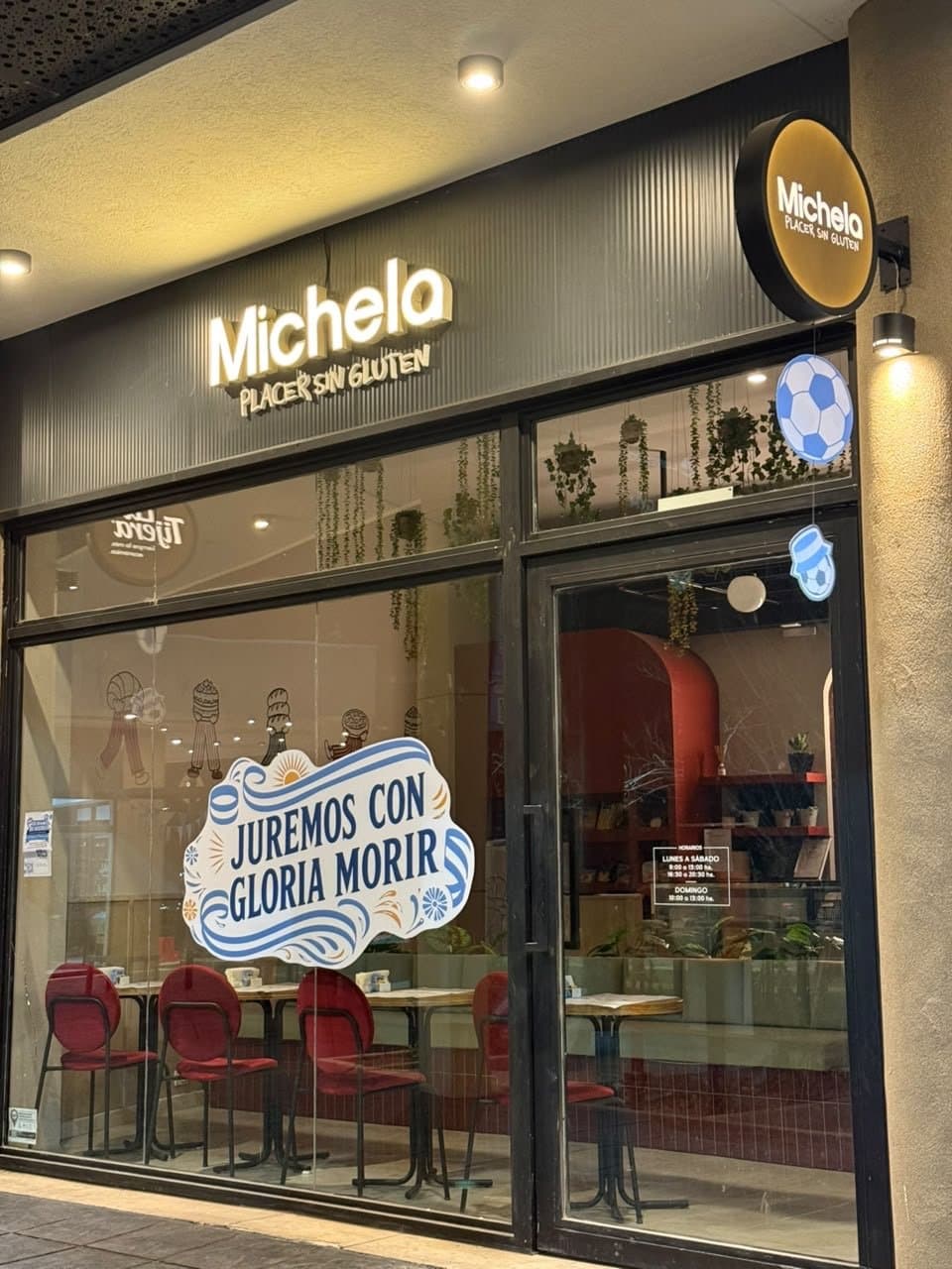 Michela Sin Gluten Guaymallen